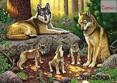 Wolfsfamilie